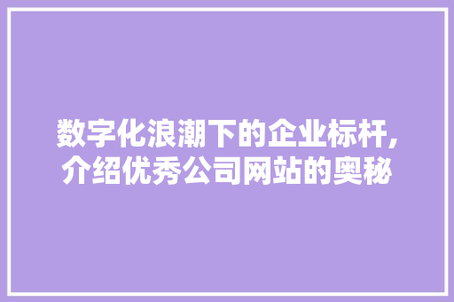 数字化浪潮下的企业标杆,介绍优秀公司网站的奥秘