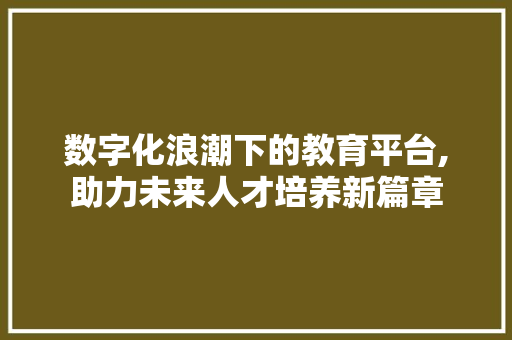 数字化浪潮下的教育平台,助力未来人才培养新篇章