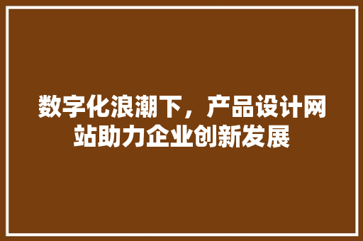 数字化浪潮下，产品设计网站助力企业创新发展
