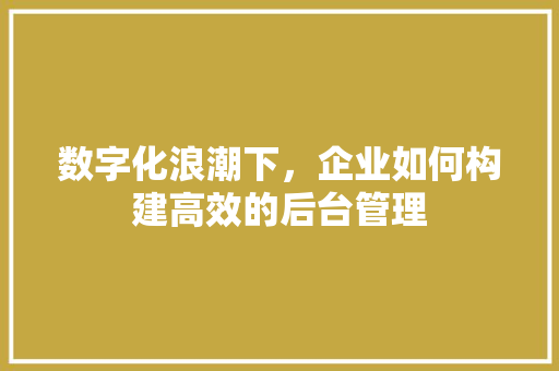 数字化浪潮下，企业如何构建高效的后台管理