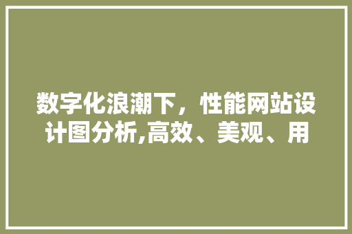 数字化浪潮下，性能网站设计图分析,高效、美观、用户体验的完美融合