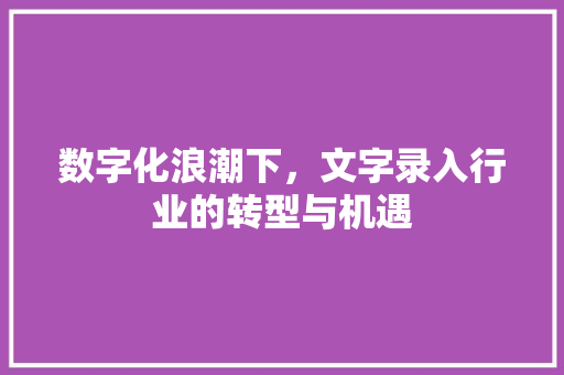 数字化浪潮下，文字录入行业的转型与机遇