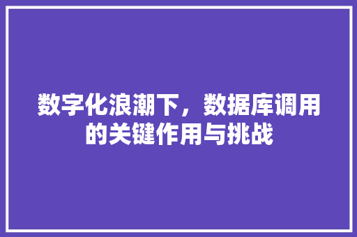 数字化浪潮下，数据库调用的关键作用与挑战 数字化浪潮下，数据库调用的关键作用与挑战 神马SEO