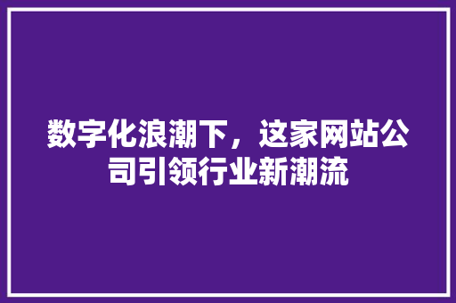 数字化浪潮下，这家网站公司引领行业新潮流 数字化浪潮下，这家网站公司引领行业新潮流 必应SEO