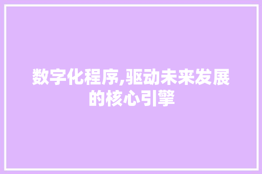 数字化程序,驱动未来发展的核心引擎