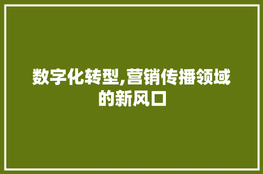 数字化转型,营销传播领域的新风口