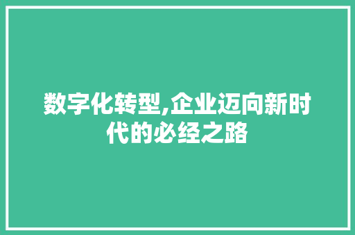 数字化转型,企业迈向新时代的必经之路