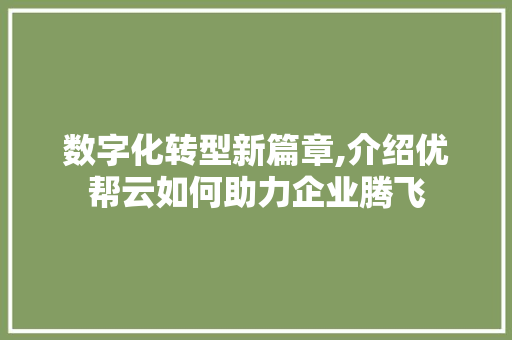 数字化转型新篇章,介绍优帮云如何助力企业腾飞