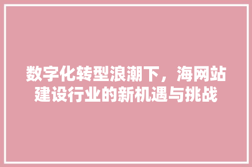数字化转型浪潮下，海网站建设行业的新机遇与挑战