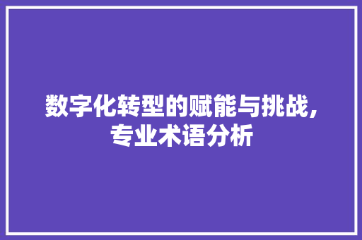 数字化转型的赋能与挑战,专业术语分析