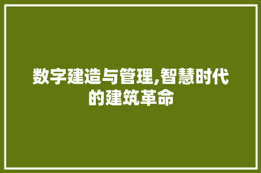 数字建造与管理,智慧时代的建筑革命