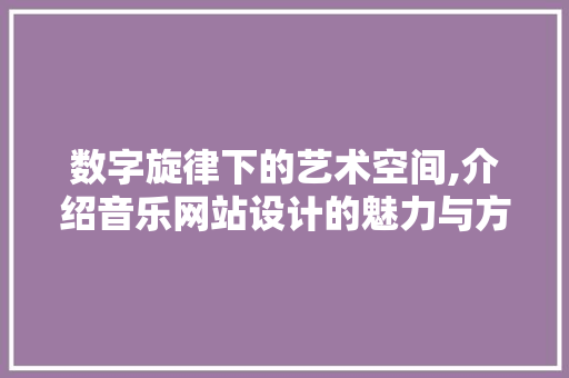 数字旋律下的艺术空间,介绍音乐网站设计的魅力与方法