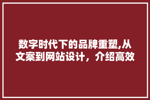 数字时代下的品牌重塑,从文案到网站设计，介绍高效营销之路