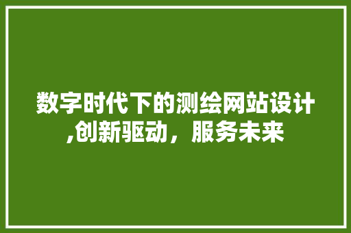 数字时代下的测绘网站设计,创新驱动，服务未来