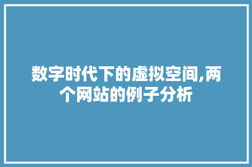 数字时代下的虚拟空间,两个网站的例子分析