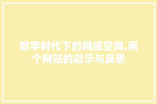 数字时代下的网络空间,两个网站的启示与反思