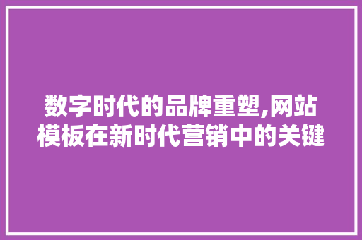 数字时代的品牌重塑,网站模板在新时代营销中的关键作用
