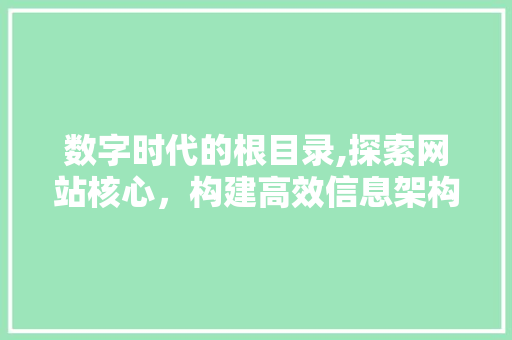 数字时代的根目录,探索网站核心，构建高效信息架构