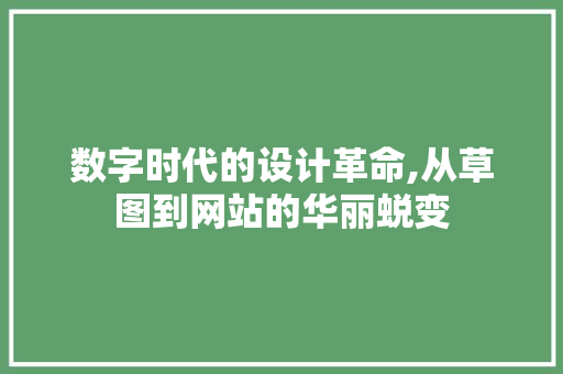 数字时代的设计革命,从草图到网站的华丽蜕变
