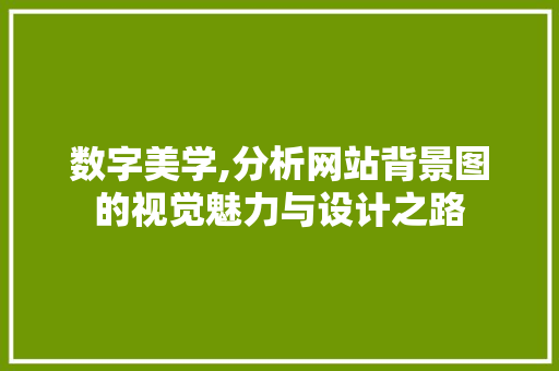 数字美学,分析网站背景图的视觉魅力与设计之路