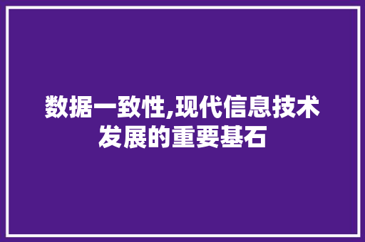 数据一致性,现代信息技术发展的重要基石