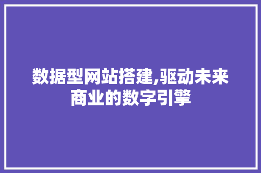 数据型网站搭建,驱动未来商业的数字引擎