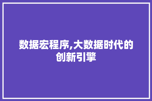 数据宏程序,大数据时代的创新引擎