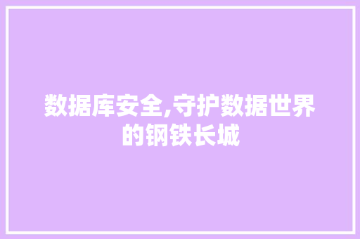 数据库安全,守护数据世界的钢铁长城