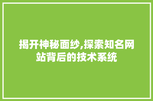 揭开神秘面纱,探索知名网站背后的技术系统