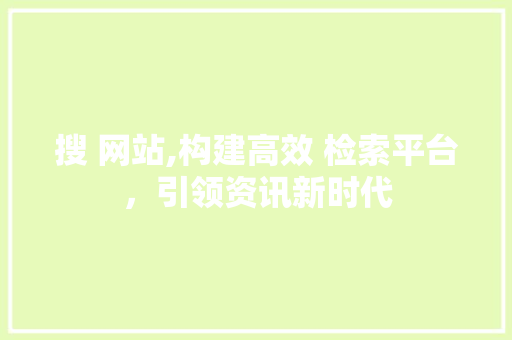 搜 网站,构建高效 检索平台，引领资讯新时代