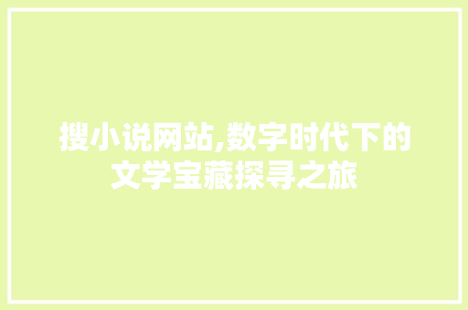 搜小说网站,数字时代下的文学宝藏探寻之旅