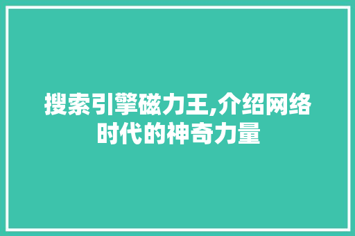 搜索引擎磁力王,介绍网络时代的神奇力量