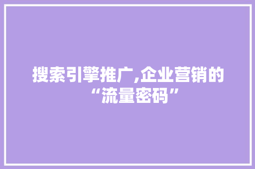 搜索引擎推广,企业营销的“流量密码”