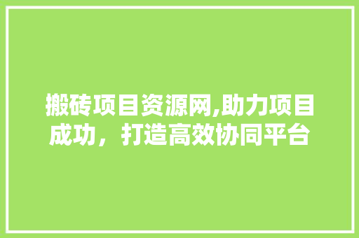 搬砖项目资源网,助力项目成功，打造高效协同平台