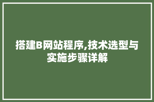 搭建B网站程序,技术选型与实施步骤详解