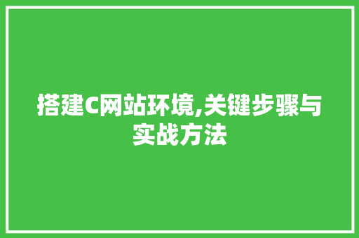 搭建C网站环境,关键步骤与实战方法 搭建C网站环境,关键步骤与实战方法 网站建设公司