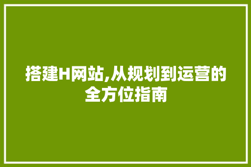 搭建H网站,从规划到运营的全方位指南