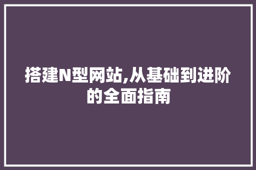 搭建N型网站,从基础到进阶的全面指南