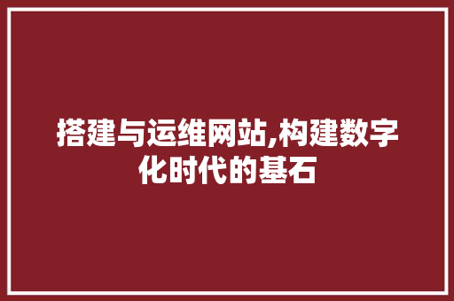 搭建与运维网站,构建数字化时代的基石 搭建与运维网站,构建数字化时代的基石 网站建设公司