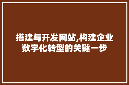 搭建与开发网站,构建企业数字化转型的关键一步
