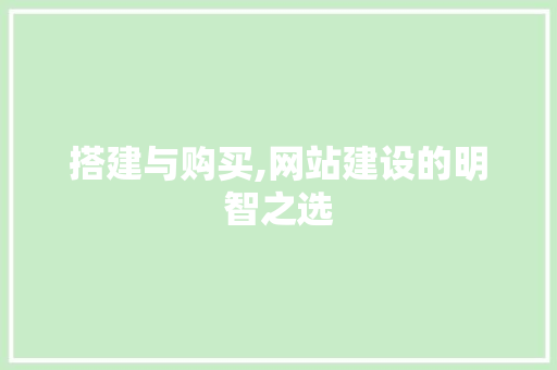搭建与购买,网站建设的明智之选