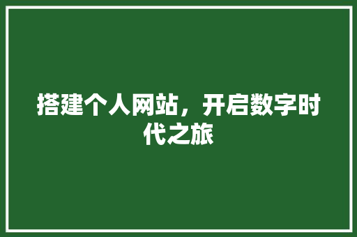 搭建个人网站，开启数字时代之旅 搭建个人网站，开启数字时代之旅 搜狗SEO