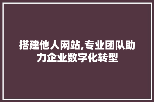 搭建他人网站,专业团队助力企业数字化转型