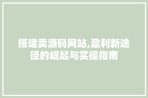 搭建卖源码网站,盈利新途径的崛起与实操指南