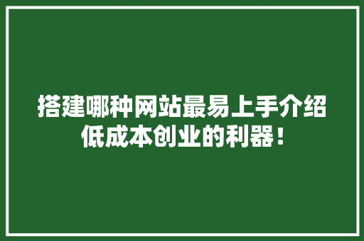搭建哪种网站最易上手介绍低成本创业的利器！