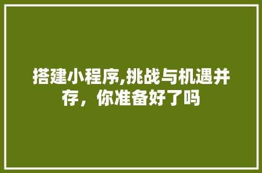 搭建小程序,挑战与机遇并存，你准备好了吗