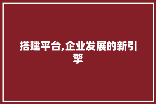 搭建平台,企业发展的新引擎