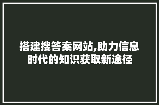 搭建搜答案网站,助力信息时代的知识获取新途径