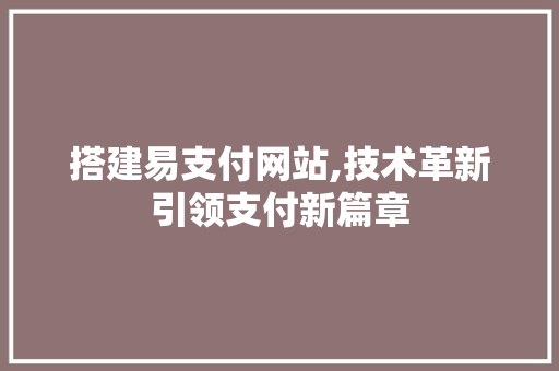 搭建易支付网站,技术革新引领支付新篇章