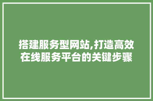 搭建服务型网站,打造高效在线服务平台的关键步骤